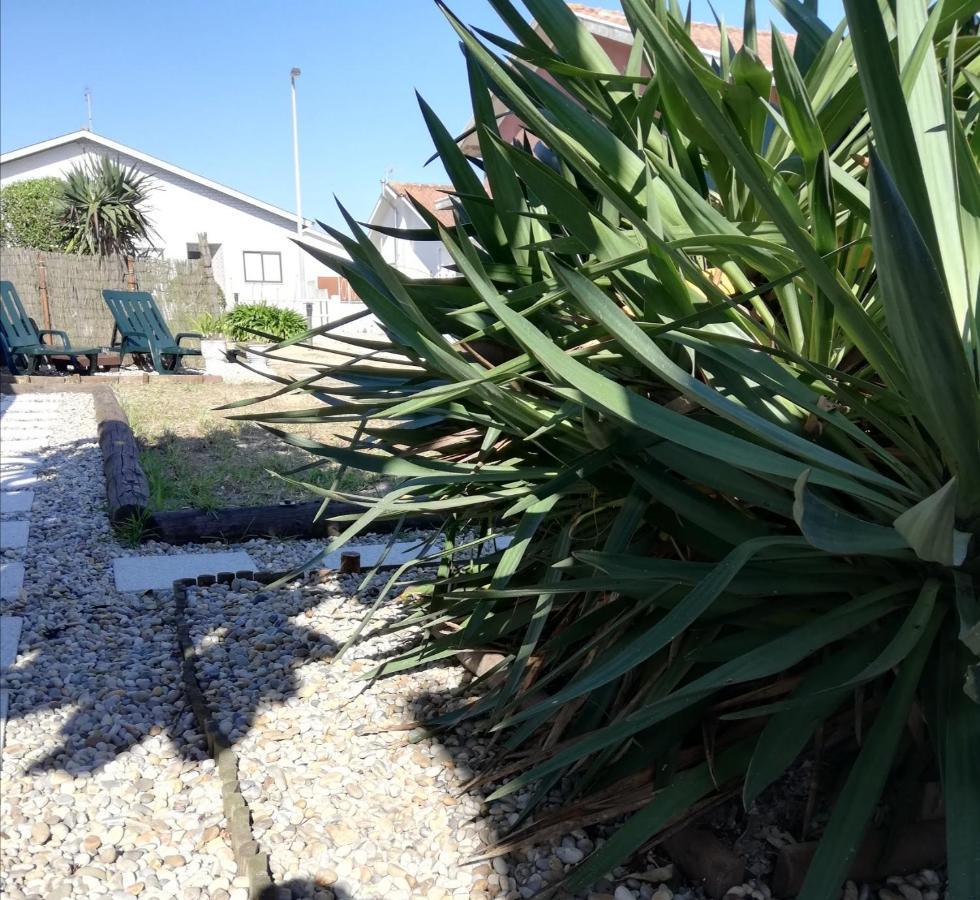 Casa De Praia Vila do Conde Zewnętrze zdjęcie